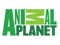    Animal Planet   
