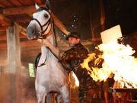 �� ���������� ����� �������� �������� 8-��������� �������������� ���������� ����