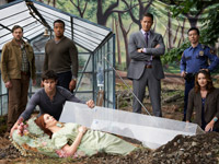 �� ������ ��� TV �������� �������� ����������� �����