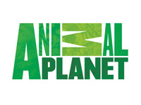 Animal Planet �������� ���� � ���������� � ���������� ����� ��� ���������� ��������