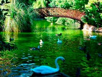 ������ �7 ���������� ����������� �� �����