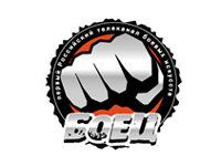 �� ���������� ���� ��������� ������ ����� �������-��� �-1 Fighter