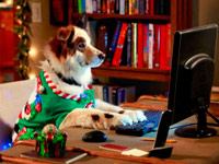 �� ���������� �������� ��������� �������� ������� ������ ����� ���