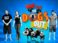 ������ �7 ���������� ������ ��� �������� �����?