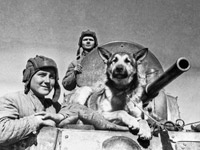 �� ������ ��������� �������� ��������������� ������ ������������