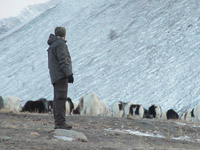 ������� ���� ������� �������� �������� � ����� ������� ��� �������� � �����