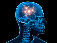 �� ���������� ���������� 21 ��������� �������� ���� �������������� �������