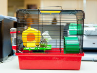 � ������� ����������� �������-�������� ������ ��������