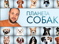 ������� ���� ������� ������� ������ ���������� �� �������� ��������