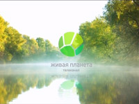 � 1 ����� �������� ������� ����� ��������� ����� �������