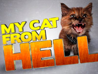 ������ �7 ��������� �� ������������� ����� ������ ��� ������ �����