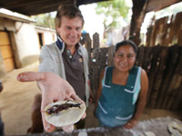 �������� ������� ������� ������� ��������� � �����������