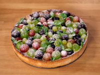 ����� ������ ��������� ������� ������ �� ������ ����� �������� ���������