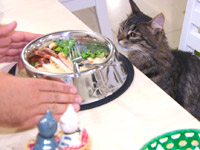 ������� ��������� ������� ��������� �������� �� ������