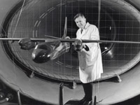 �� ������ ��������� �������� ��������������� ������ ���� ������� � ������� ����