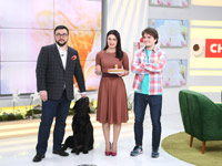 ������ ���������� ��������� �������� � 1+1 ������ ���-��������