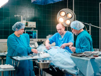 ����� ������� � �������� FILM.UA ���������� � ������� ����� ������� ������� �������� ����