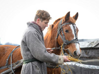 ����� 1+1 ������� �������� ��������������� ��������� ����� �������� �����