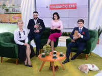 �������� � 1+1 � ������ ����� �������� ����������������� ������� ����������� ��������� ��������