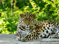 ����� ����� ������� ������� �������� ��������������� ������ ��� 80. ������� ������ ��������