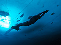 ������ �7 ������������ �������� ��������� �������, ������� ����� �� ������