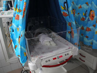 ��������� ����� ������ �� ��������� �������� ����� ������������ ��� �������� ������� ������