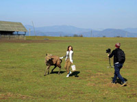 �� ������ ����� ��������� ��������������� ������ ��������� ������ �����