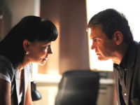 �� ������ ����� �������� ������ ����� ������������ ������� ������ �� ������