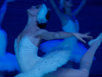 �� ������ ������� ��������� �������� ������������������ ������� ��������