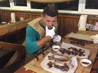 ������� ������� ������� � ������� ����������� ��������� �������