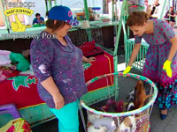 �� ����� ������ �������� ����� ����� ����������� ������� �������: ��������