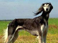 ������ �7 ��������� ������ ���������� ��