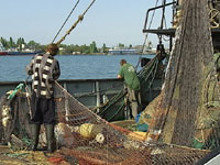 �� ������ ��������� �������� ������ � ����� ��������������� ����� ��� ������