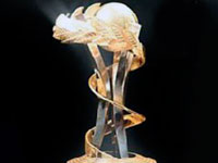 ��������� �������� 12-� ������������ ������������� ������ ����������