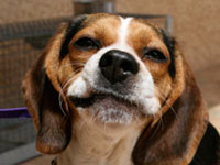 ������ �7 ��������� � ������ �����