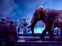 ��������� 1+1 ���� ��������� ��� ������ ������ �����������