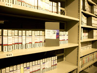 �� MTV ������������ ����������� �������